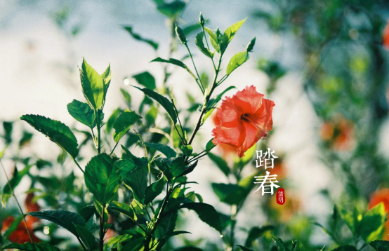 2022清明节生孩子吉利吗