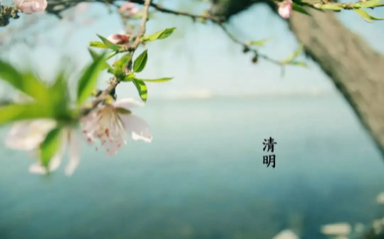 2022清明节哪些生肖不能去上坟