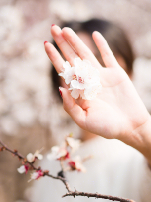 2022看樱花不露脸怎么拍照