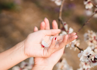 2022看樱花不露脸怎么拍照