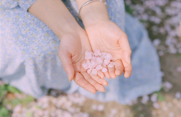 2022看樱花不露脸怎么拍照