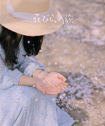 2022看樱花不露脸怎么拍照