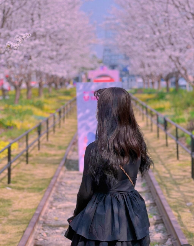 2022看樱花不露脸怎么拍照