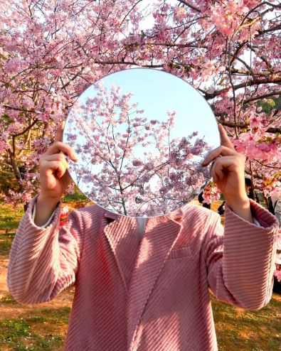 2022看樱花不露脸怎么拍照