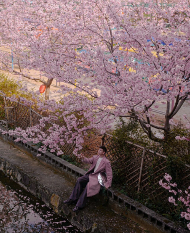 2022看樱花不露脸怎么拍照