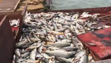 2022年禁渔期是什么时候结束