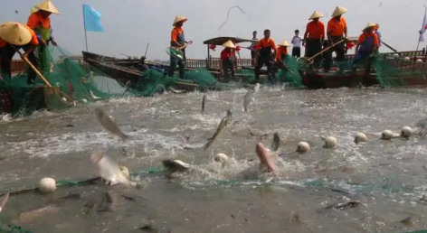 四川禁渔期可以钓鱼吗