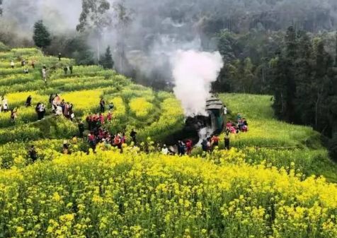 2022年春游踏青怎么发朋友圈