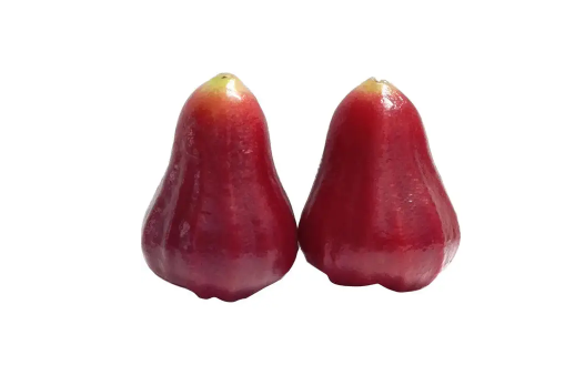 莲雾大的好吃还是小的好吃