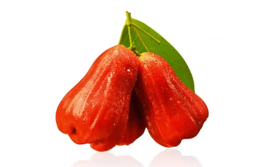 莲雾大的好吃还是小的好吃