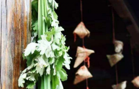 2022端午节什么时候在门上挂艾草