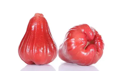 莲雾放冰箱半个月还能吃吗