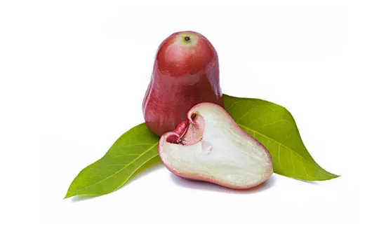 莲雾为什么有的有核有的没核