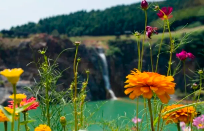 2022江夏区灵山生态文化旅游区开园了吗