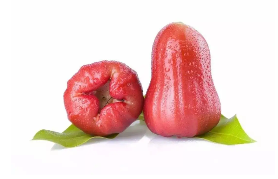 莲雾底部能吃吗