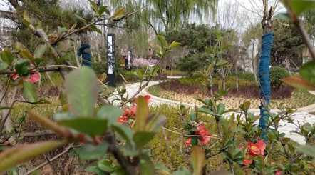 2022清明节去木兰草原露营晚上冷吗