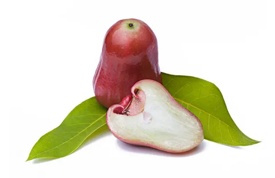 莲雾买回来怎么保存