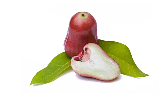 莲雾榨汁要削皮吗