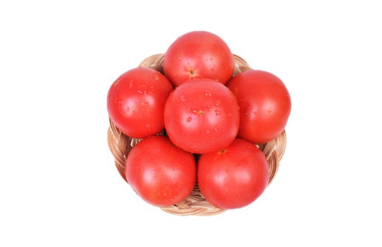 普罗旺斯西红柿和普通西红柿怎么区分