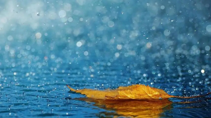 2022年上海5月份雨水多吗