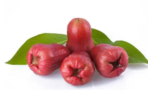 莲雾能煮熟吃吗