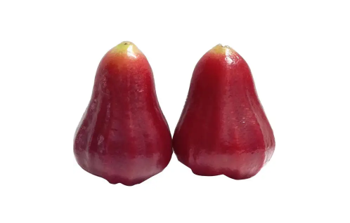 莲雾很甜是不是打了甜蜜素