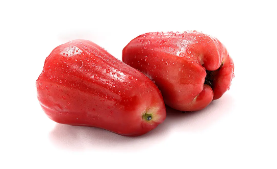 莲雾洗了可以放到第二天吗