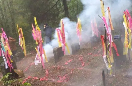 清明节挂青为什么颜色各异