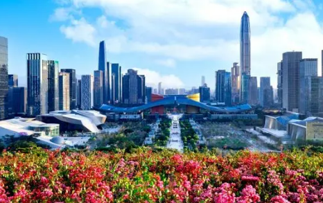 深圳摘星什么意思