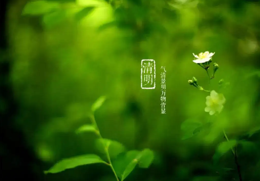 清明节上坟分单双日子吗