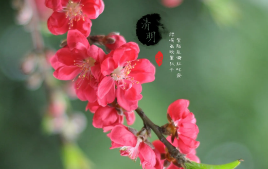 清明节上坟烧大香好还是小香好