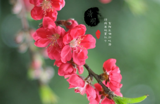 清明节上坟分男女吗