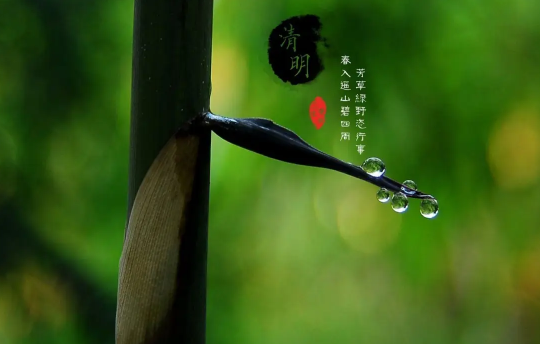 清明节上坟分男女吗