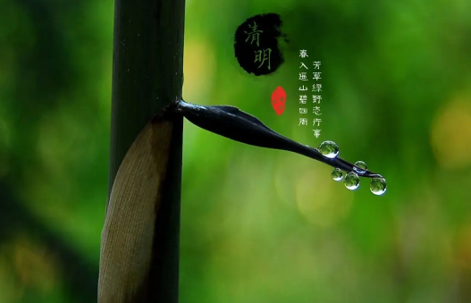 清明上坟可以单独上吗