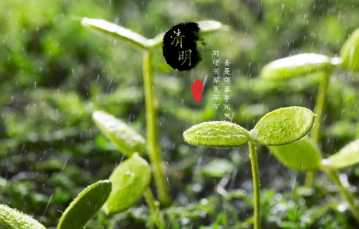 清明上坟可以单独上吗
