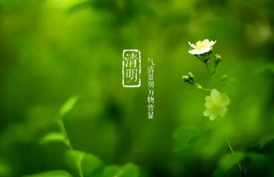 清明节上坟在哪边挖土
