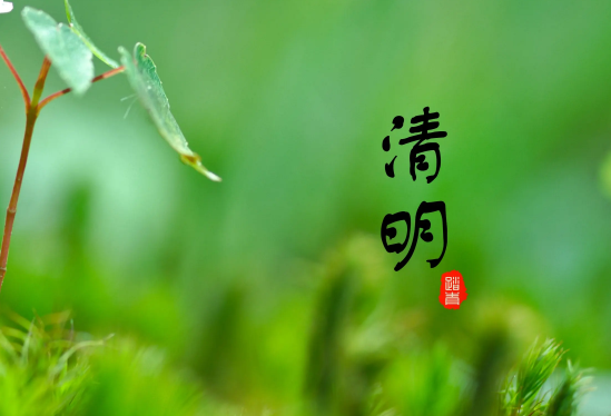 清明节先上坟还是在家祭拜