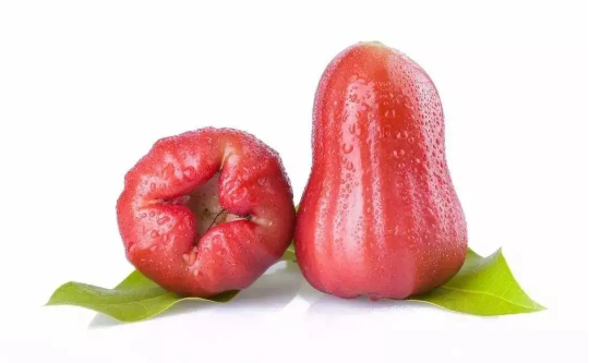 莲雾里面有虫子能看出来吗