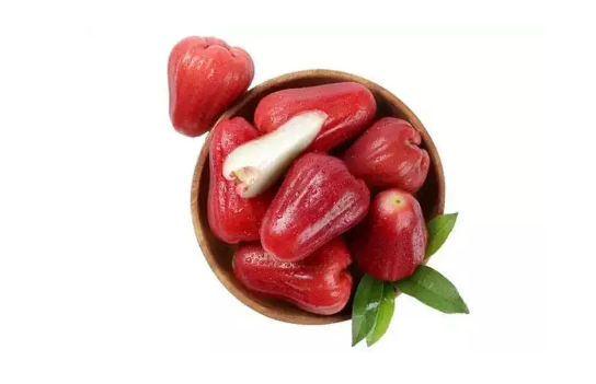 莲雾生虫子是怎么回事