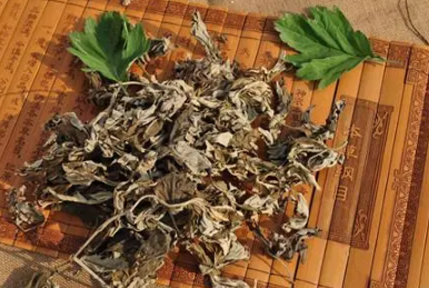 2022端午挂的艾草带不带根