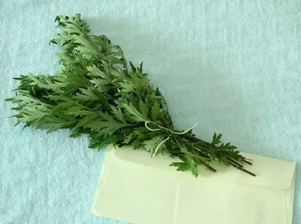 端午节挂艾草必须根部朝上吗