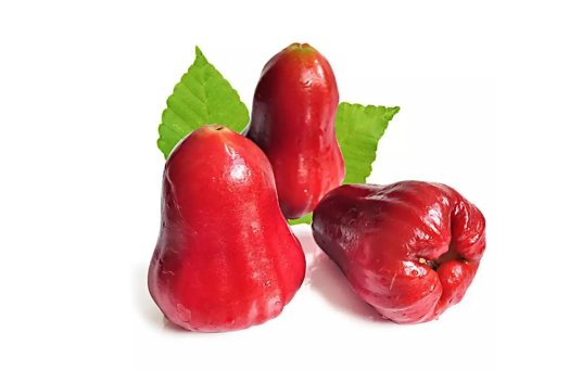 莲雾和腰果是长在一起的吗