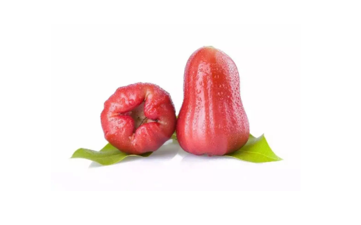 莲雾和腰果是一个东西吗