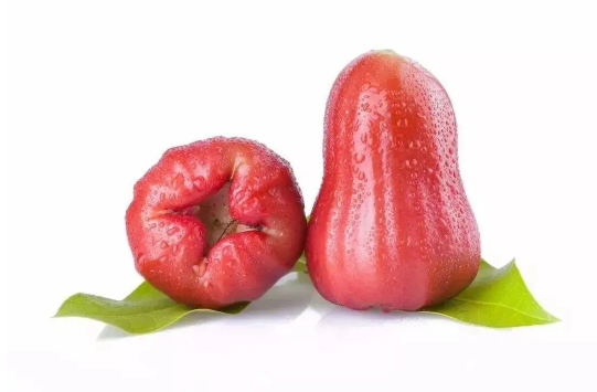 腰果是莲雾的果实吗