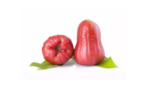 莲雾一年四季都有吃吗