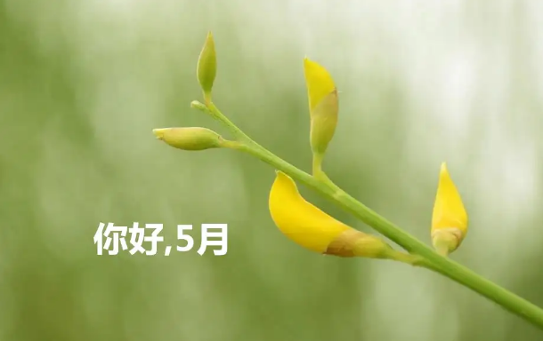 2022年5月会比2021年5月热吗