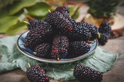 新鲜桑葚多少钱一斤