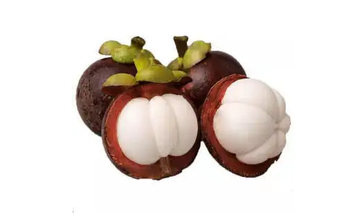 莲雾和山竹是什么关系