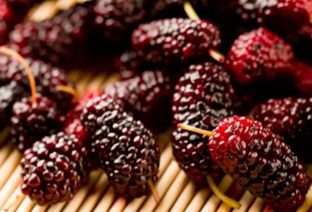 新买的桑葚能过夜吗