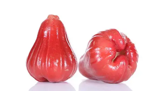 雪莲果和莲雾的味道相像吗